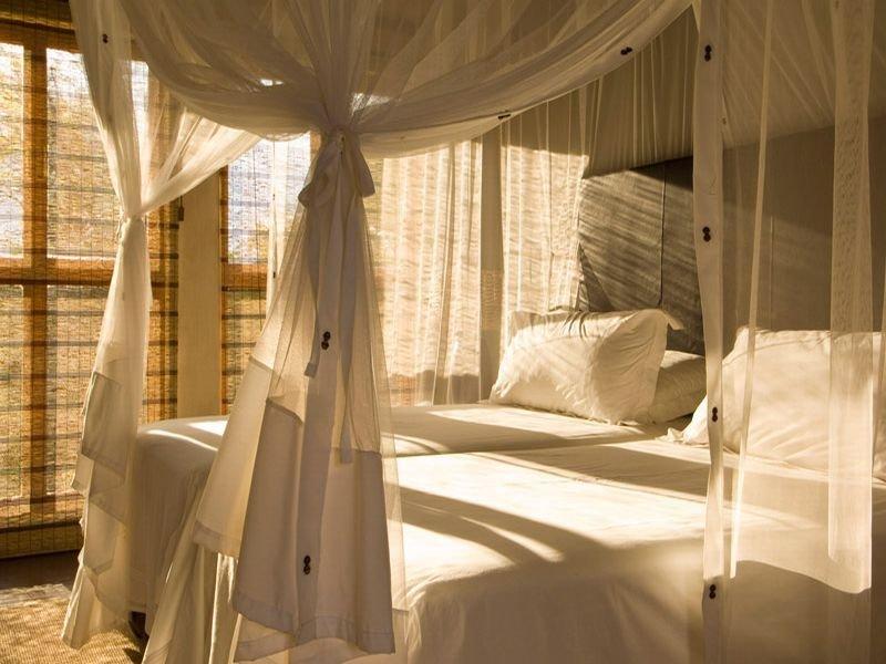 Divava Okavango Resort And Spa Bagani 外观 照片