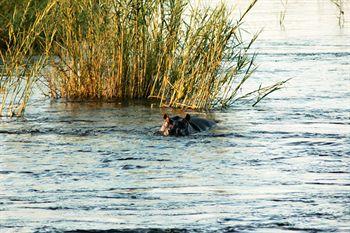 Divava Okavango Resort And Spa Bagani 外观 照片